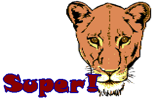 Workshop - Text Borders